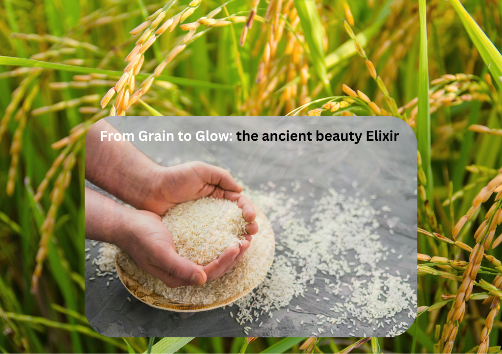 The Radiance Ritual: Unlocking the Power of Rice&nbsp;Water
