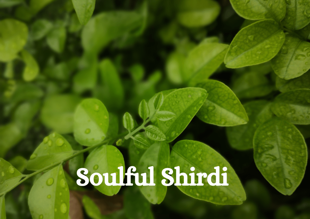 Soulful Shirdi: A Journey of Devotion, Peace, and Spiritual&nbsp;Awakening