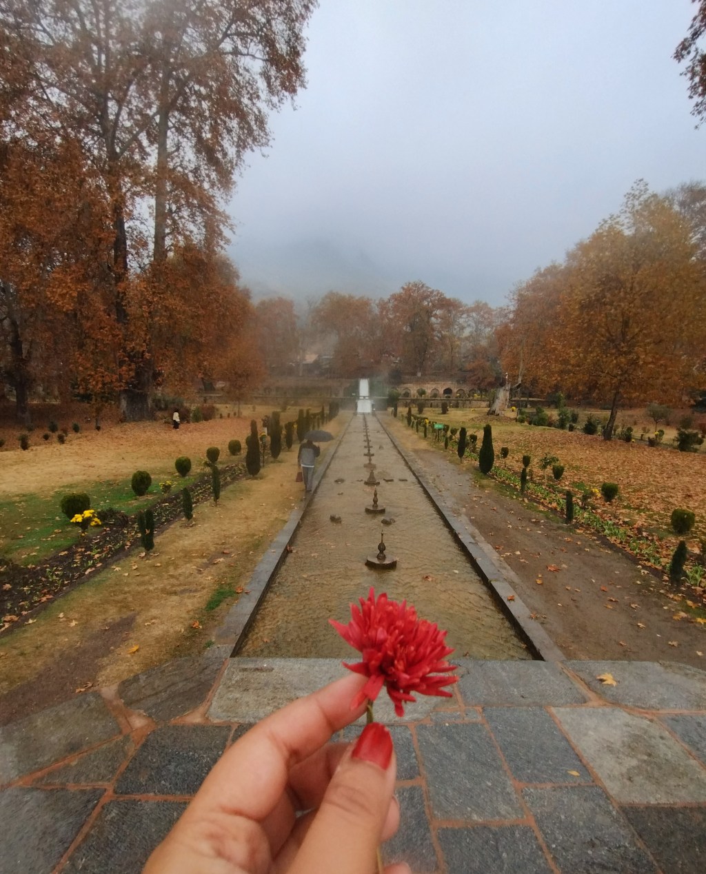 Discovering Kashmir’s Autumn Splendour (Part I): My Solo Journey Through&nbsp;Srinagar