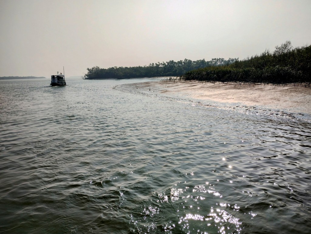 Exploring the Enchanting Sundarbans: A Wildlife&nbsp;Adventure