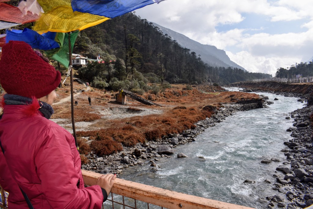 Valley of Flowers of the East: A Soulful Sojourn through Lachung &&nbsp;Yumthang