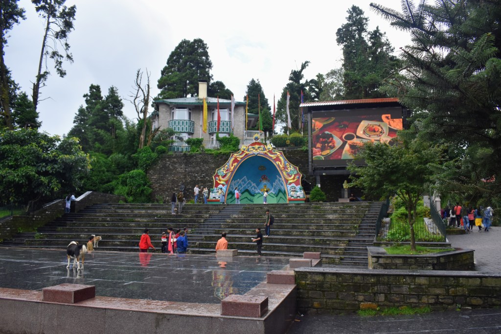 Darjeeling Travel Guide 2026: Places to Visit, Food & Travel&nbsp;Tips